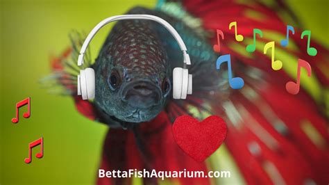 Do Better Fish Like Music? A Look into an Uncharted Relation